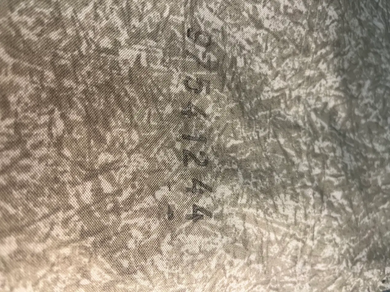 Billede 12 - Isabella Commodore Alpha