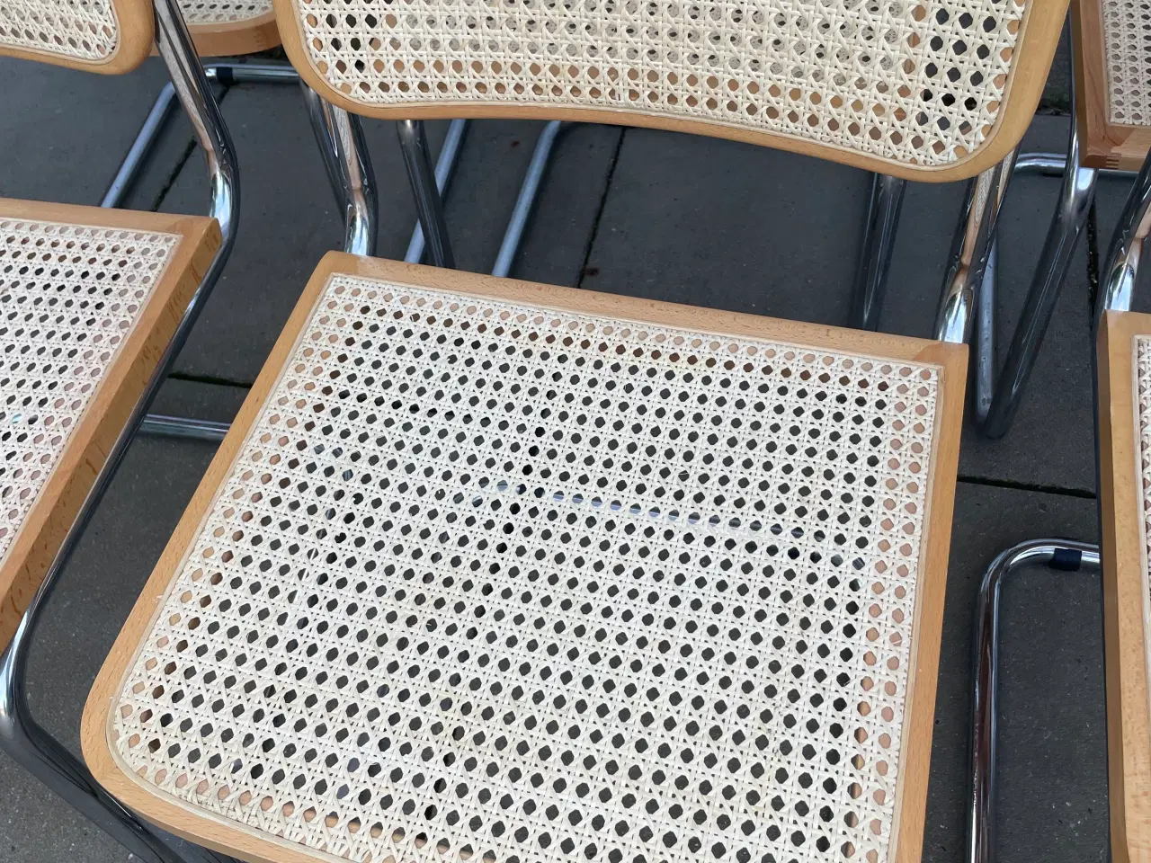 Billede 2 - Frisvinger 