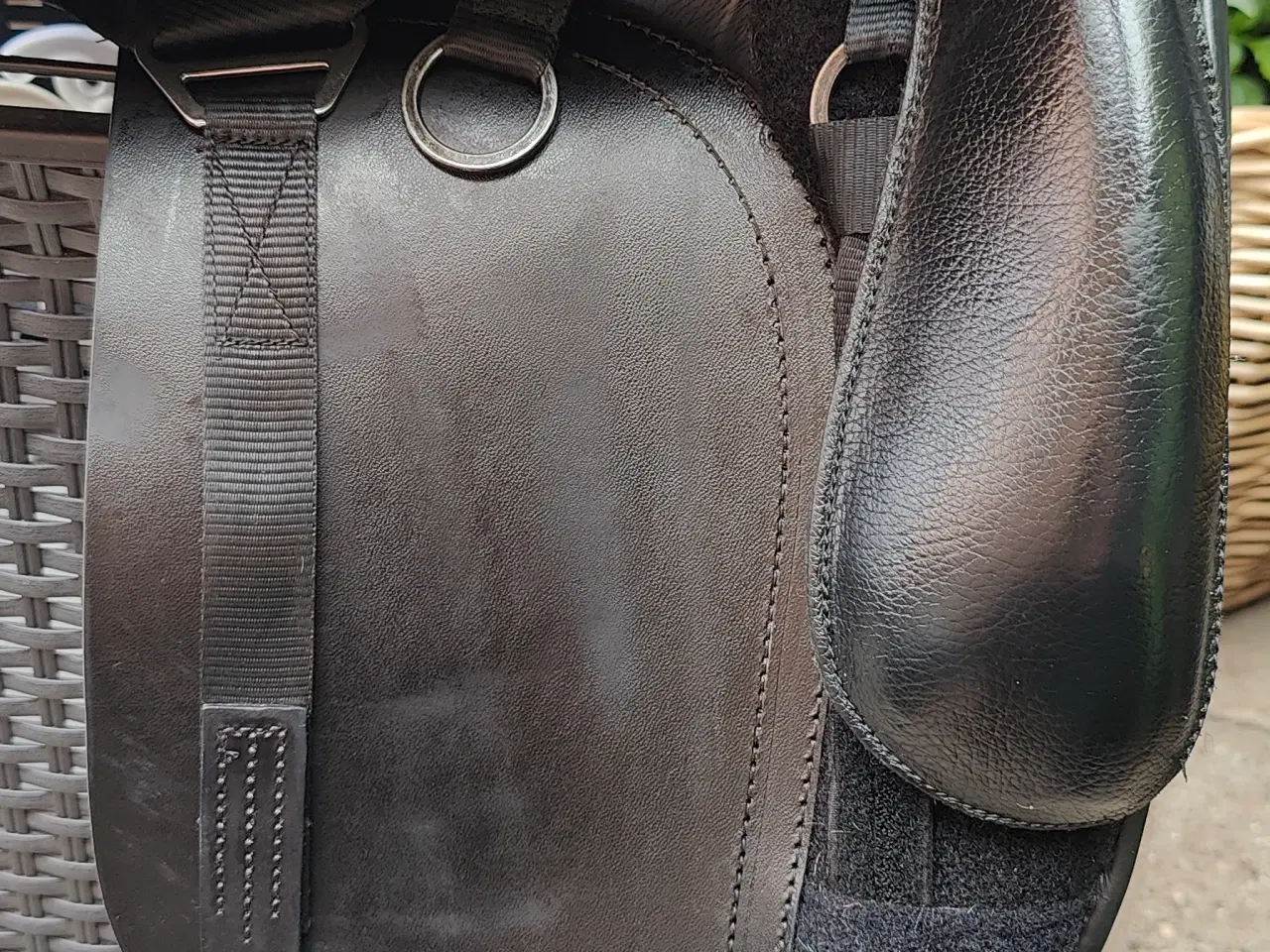 Billede 9 - Kent og Master 17 dressursadel