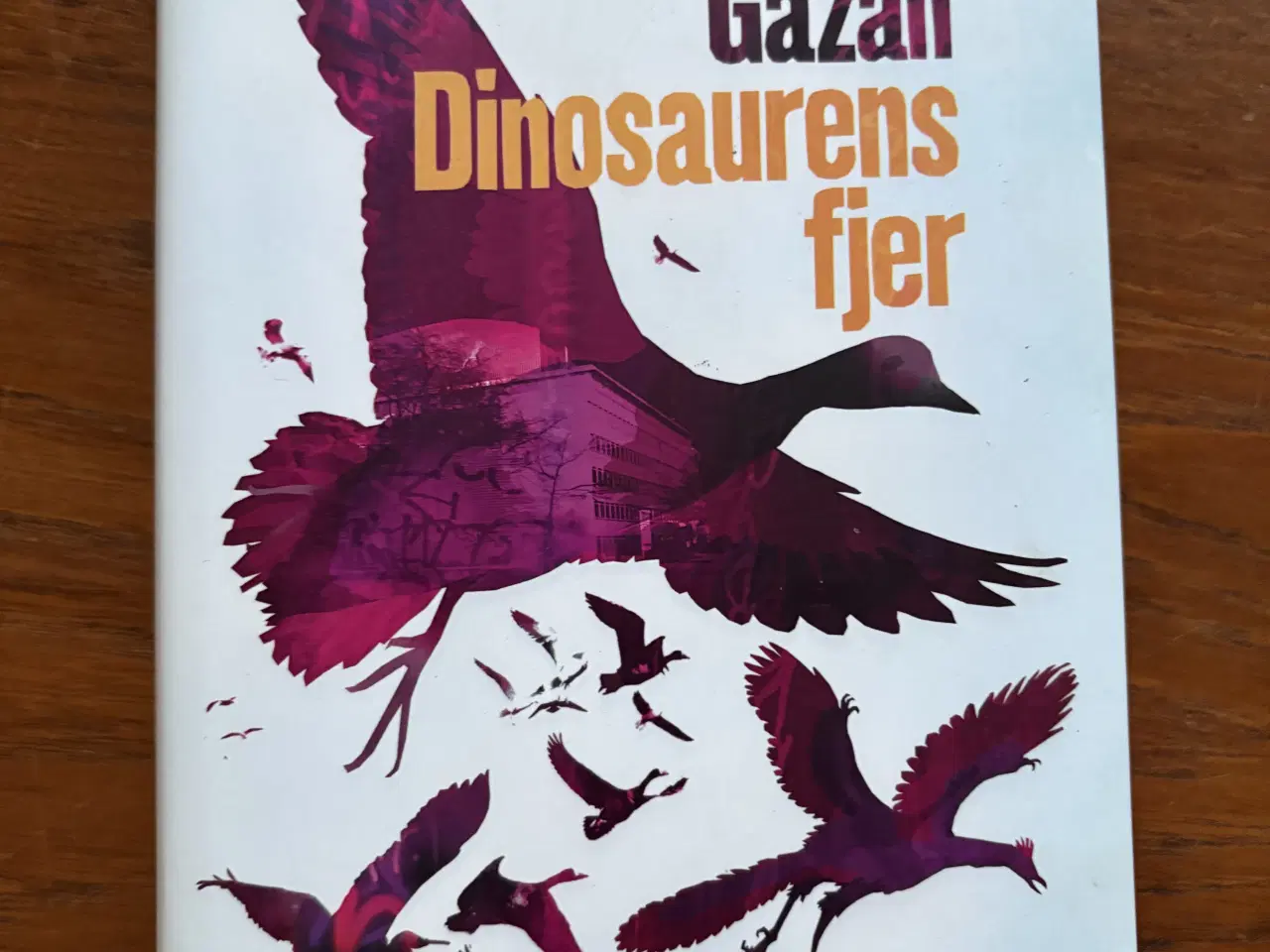 Billede 1 - Sissel- Jo