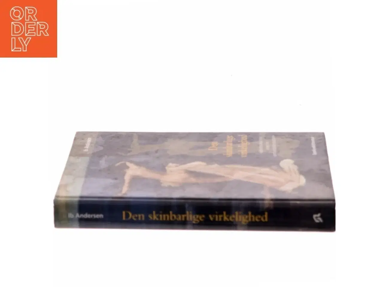 Billede 2 - Den skinbarlige virkelighed : om vidensproduktion inden for samfundsvidenskaberne af Ib Andersen (f. 1943) (Bog)