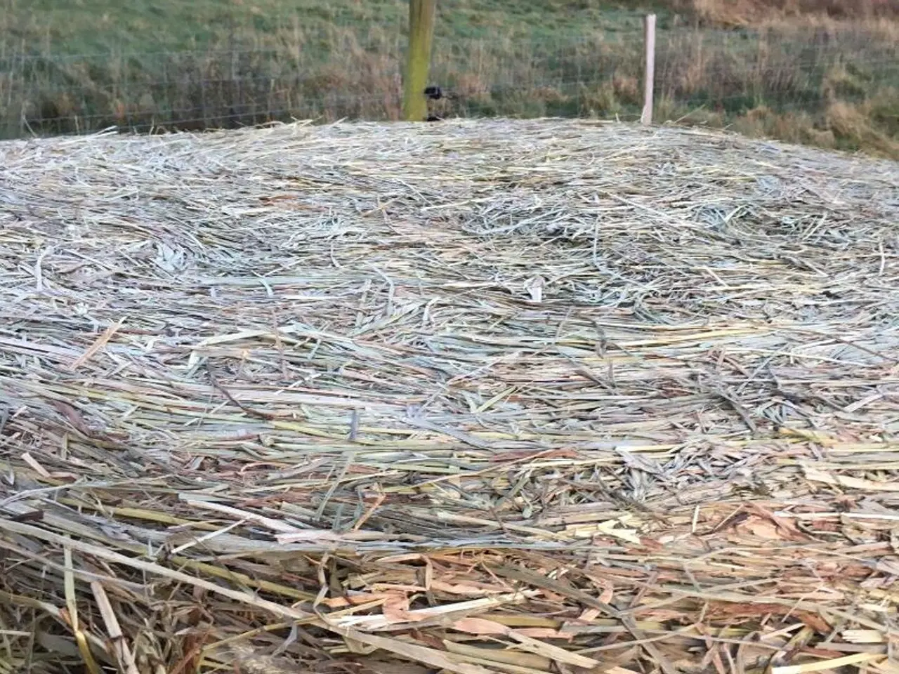 Billede 3 - Tørt wrap hø