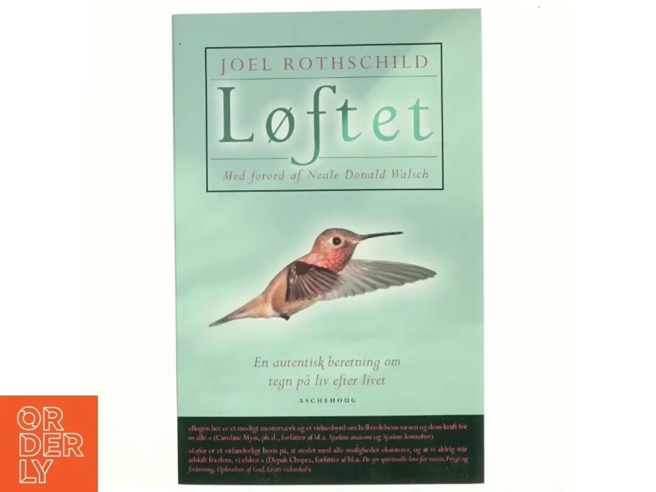 Billede 1 - Løftet : en autentisk beretning om tegn på liv efter livet af Joel Rothschild (Bog)