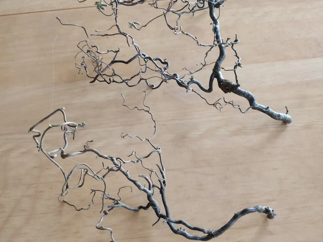 Billede 3 - Troldegrene