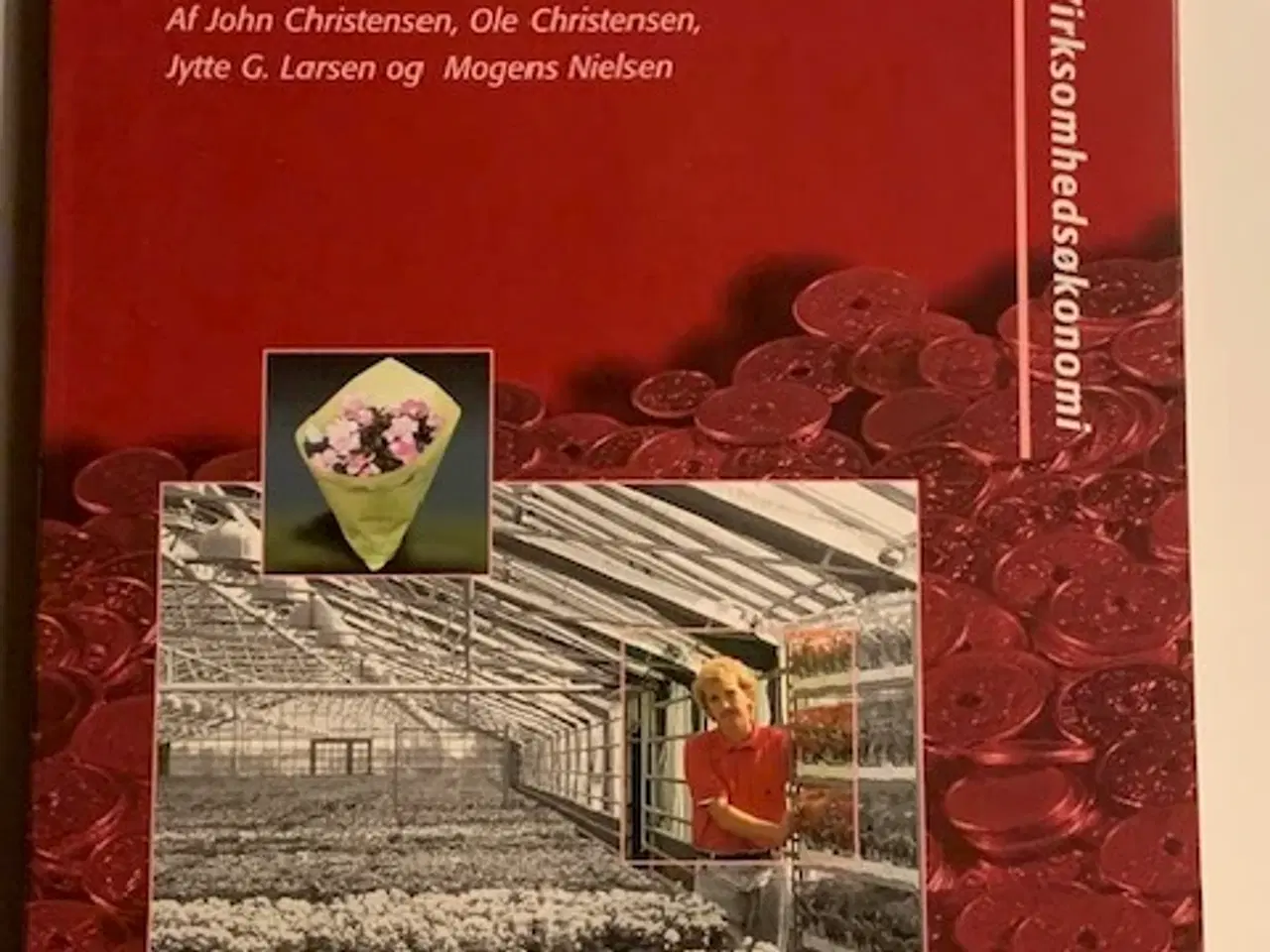 Billede 1 - Virksomhedens økonomistyring