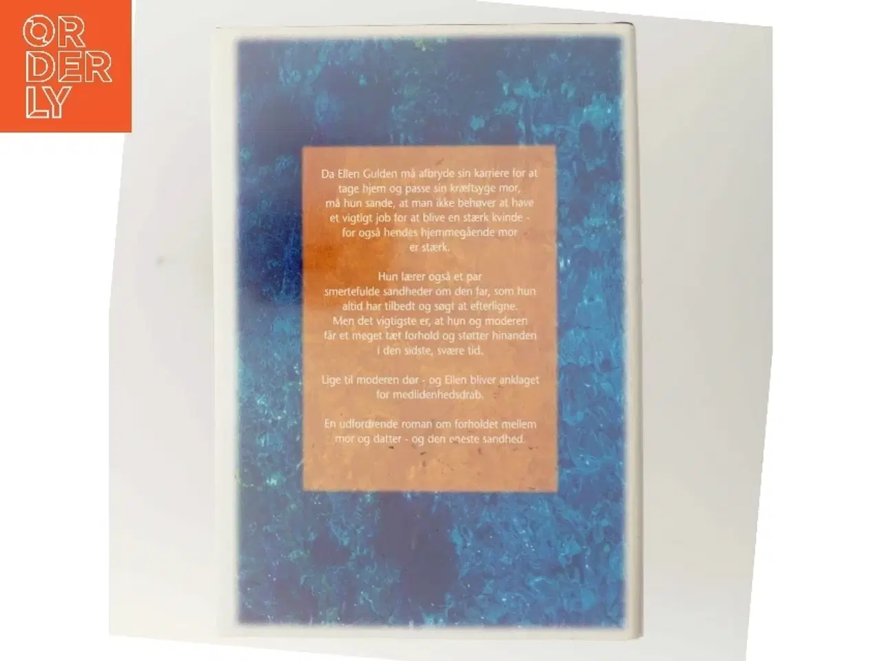 Billede 3 - Den eneste sandhed af Anna Quindlen