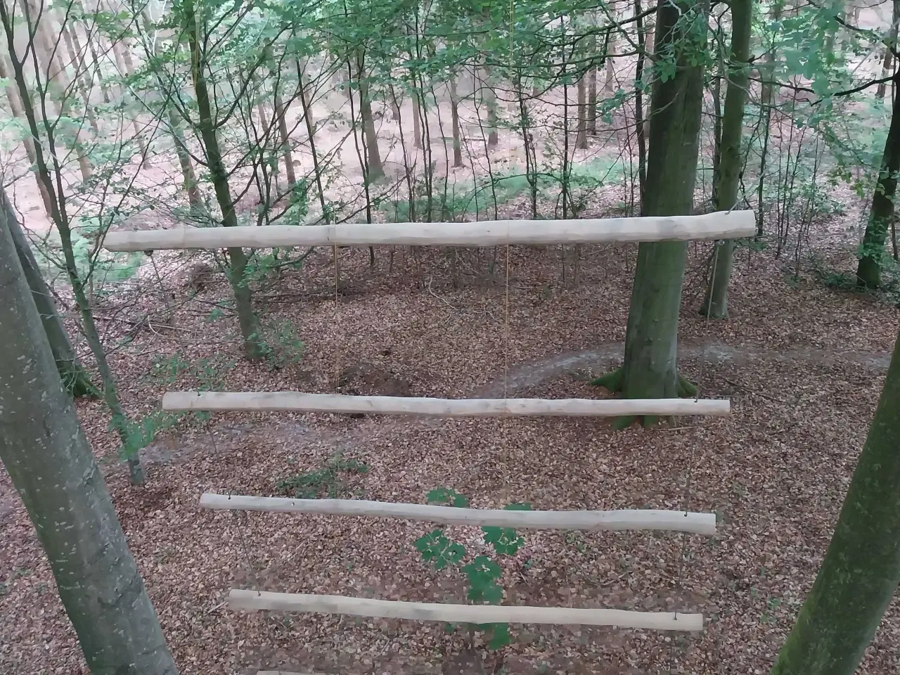 Billede 4 - Jakobstige 10m høj i robiniatræ.