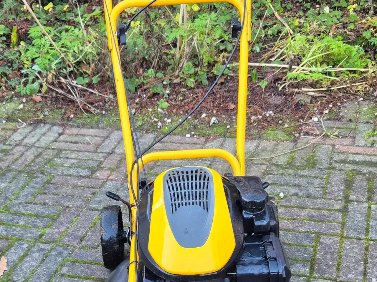 Billede 3 - Stiga plæneklipper