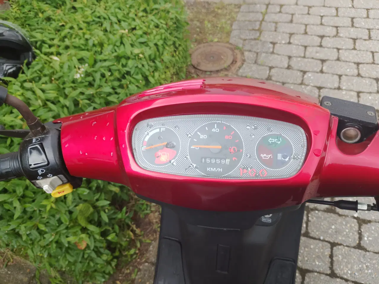 Billede 6 - Flot pgo big max
