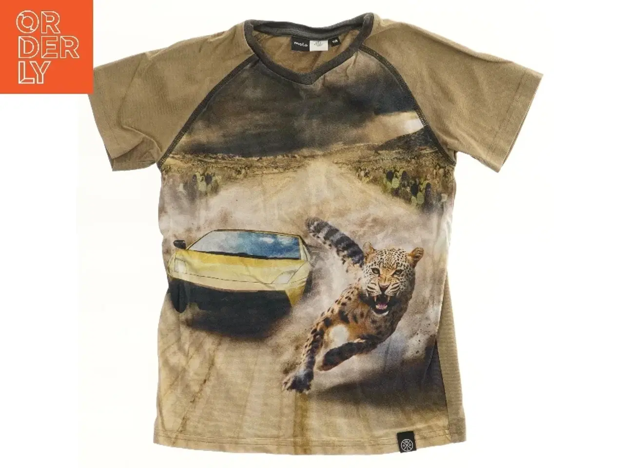 Billede 1 - Kortærmet T-shirt med bil og leopard fra Molo (str. 116)