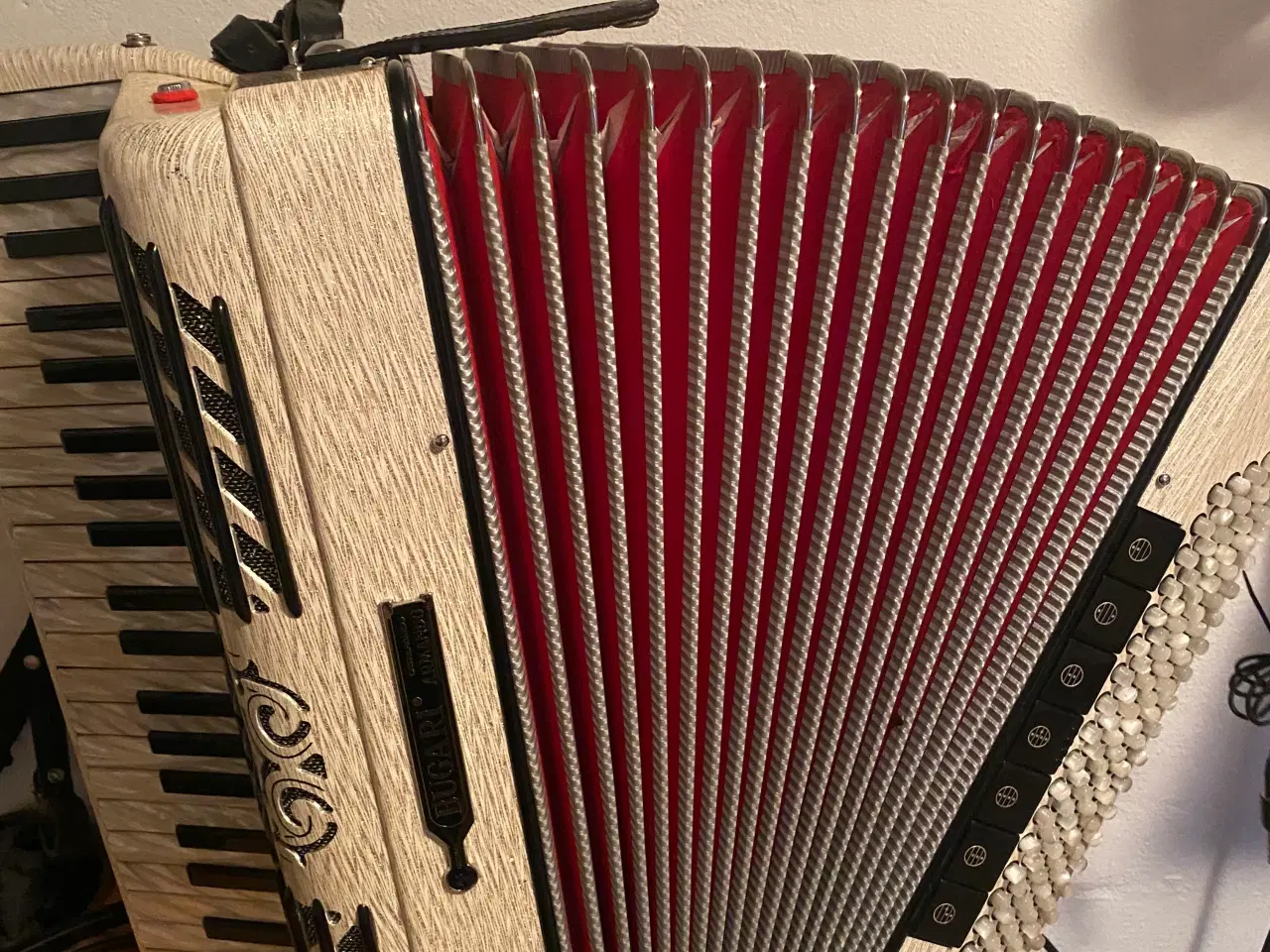 Billede 3 - Bugari Championfisa m/Midi