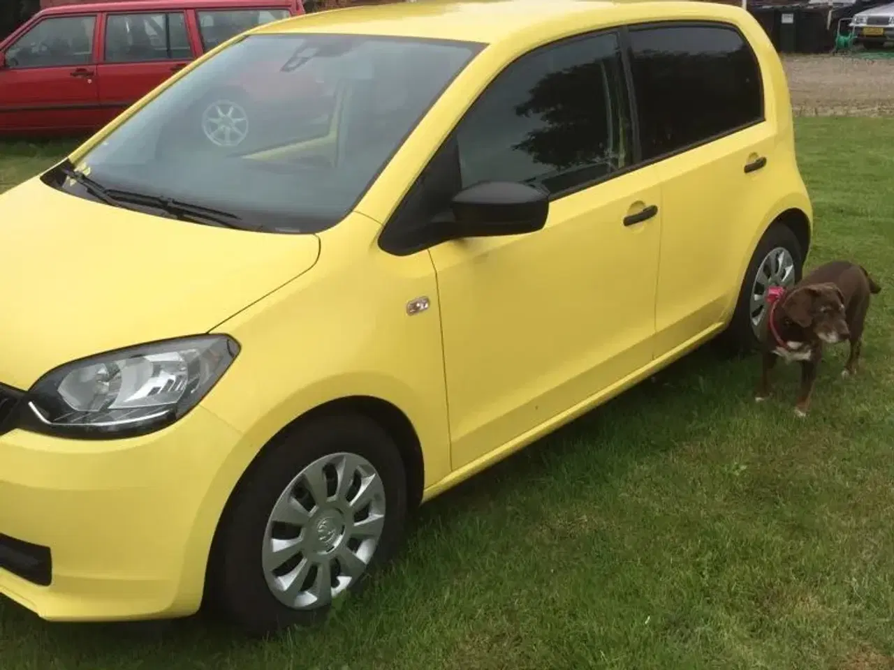 Billede 3 - skoda citigo 2017