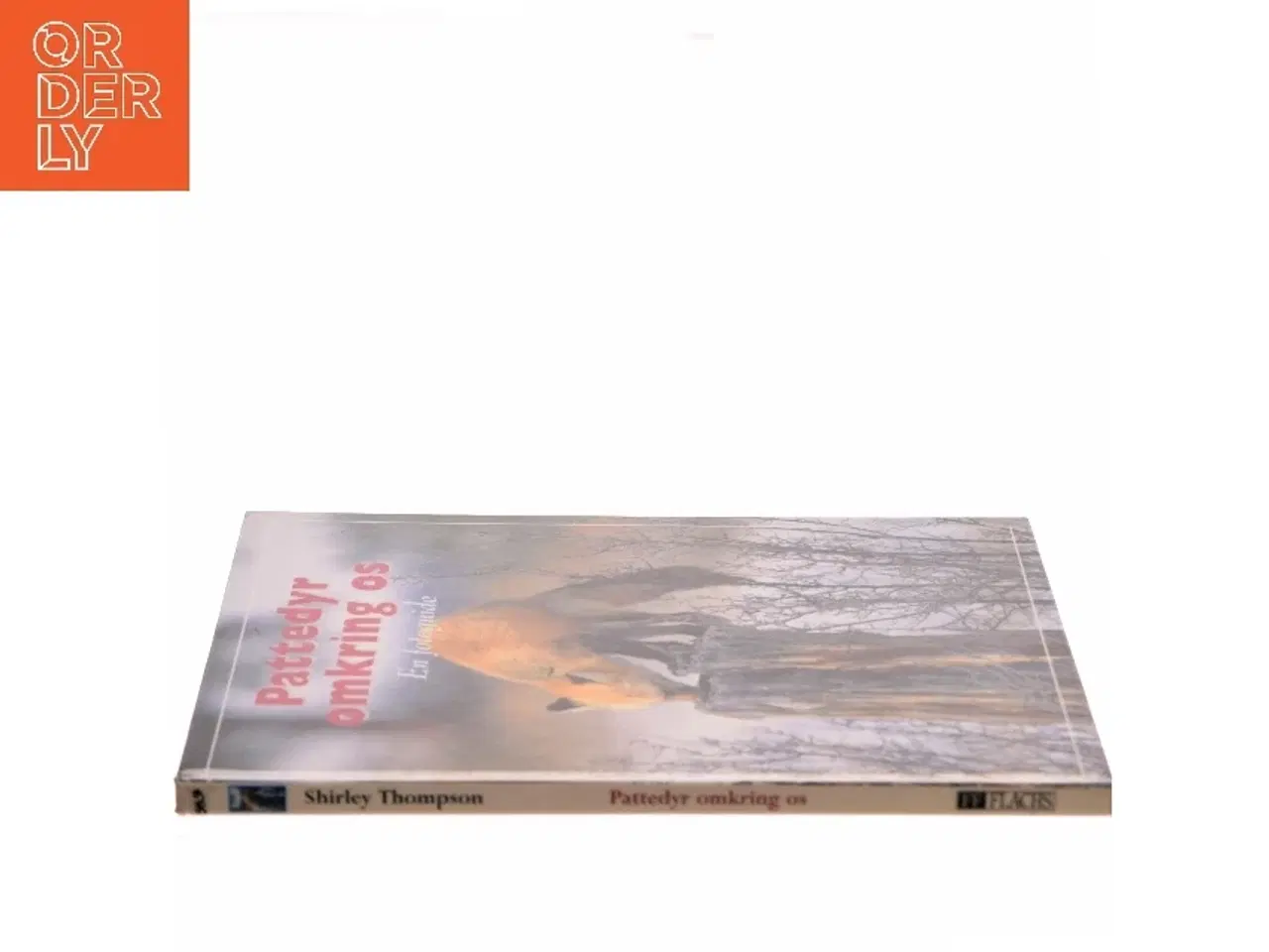 Billede 2 - Pattedyr omkring os af Shirley Thompson (Bog)