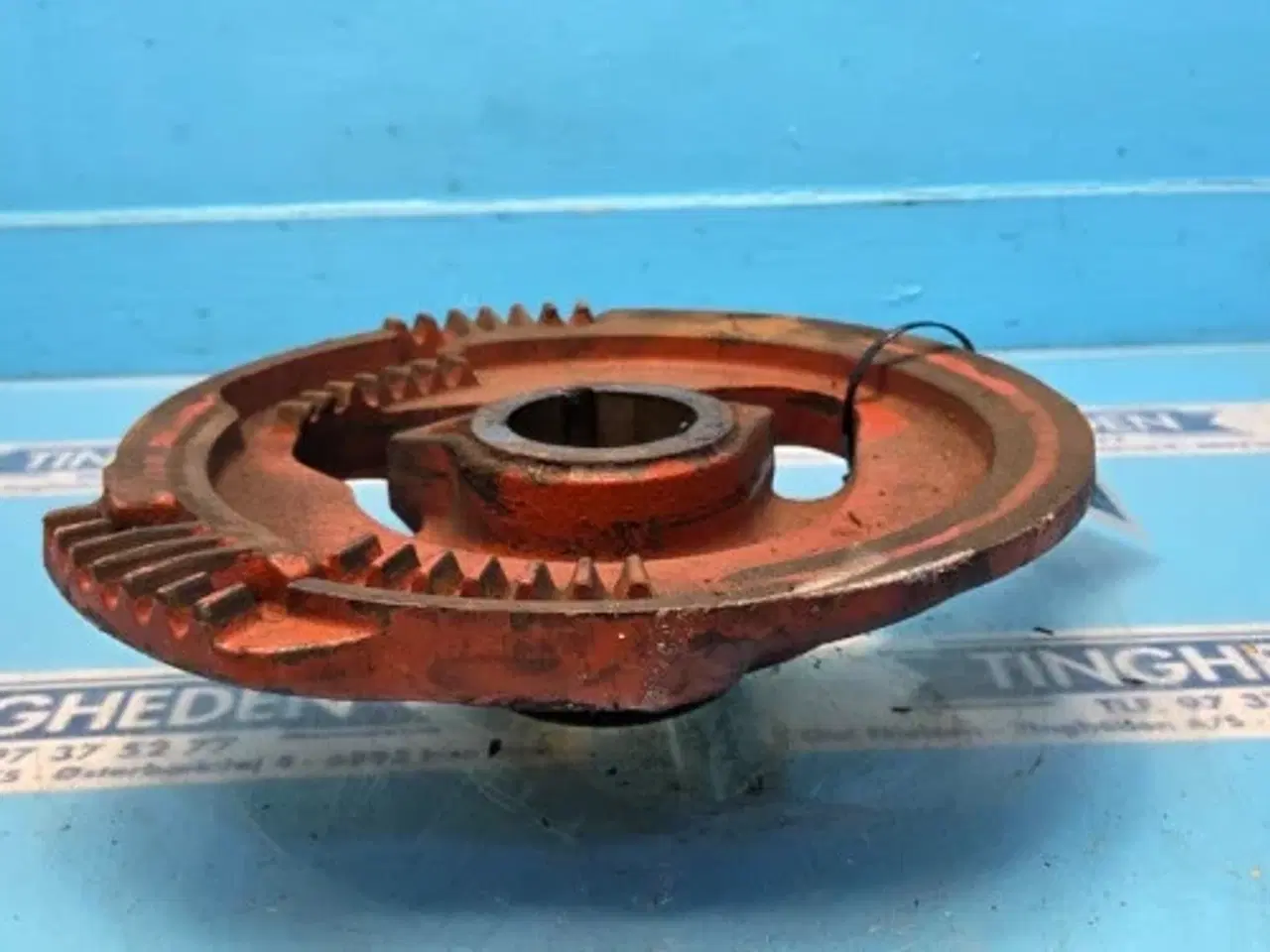 Billede 5 - Hesston 4700 Kamskive 700100868