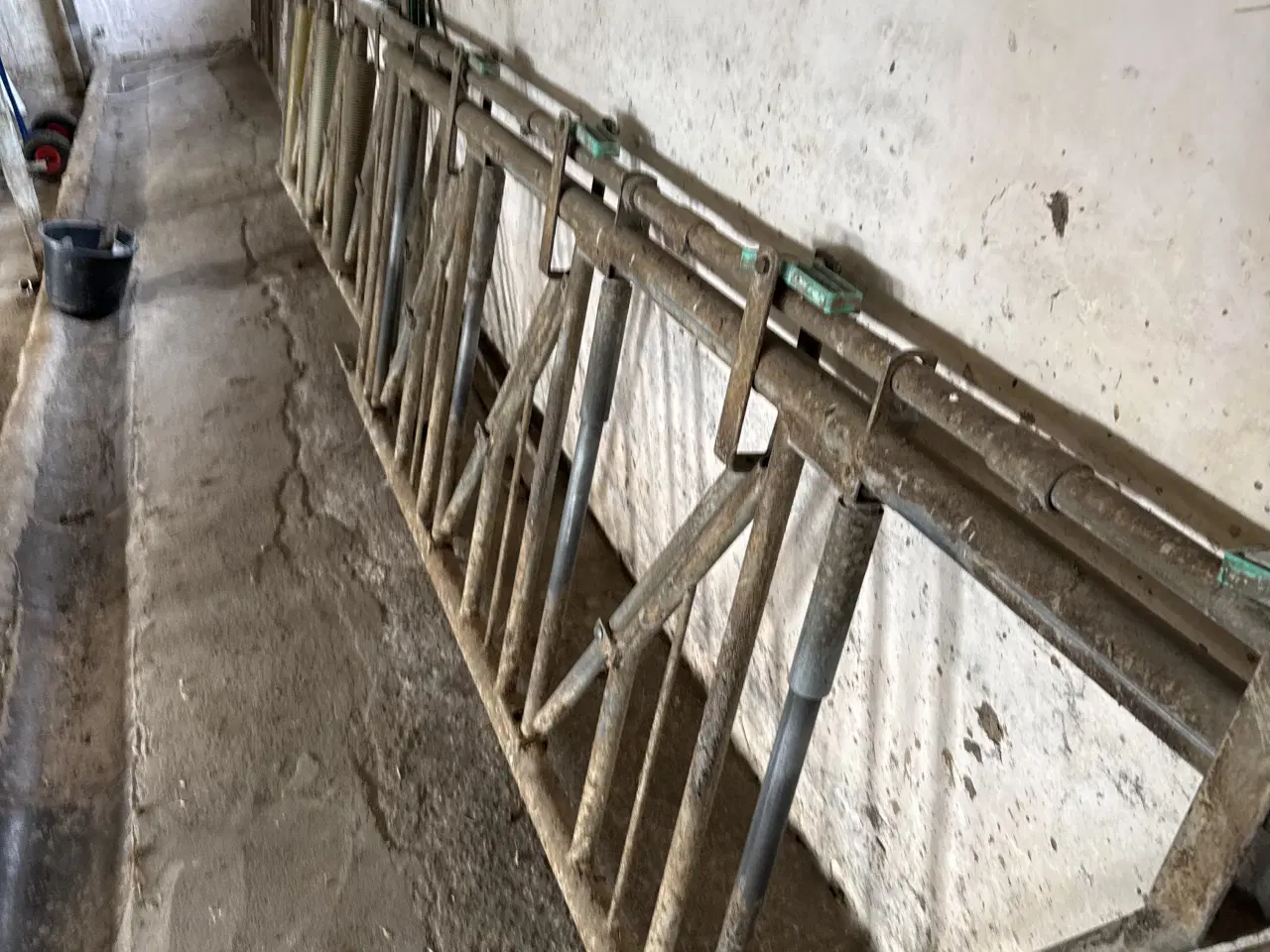 Billede 3 - Fangegitter