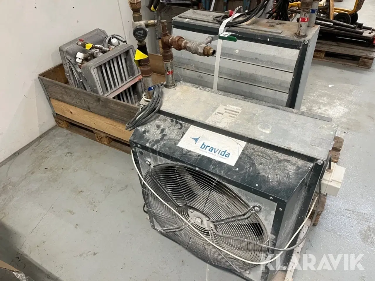 Billede 1 - Kaloiferer Gea og Sonniger 4 styk