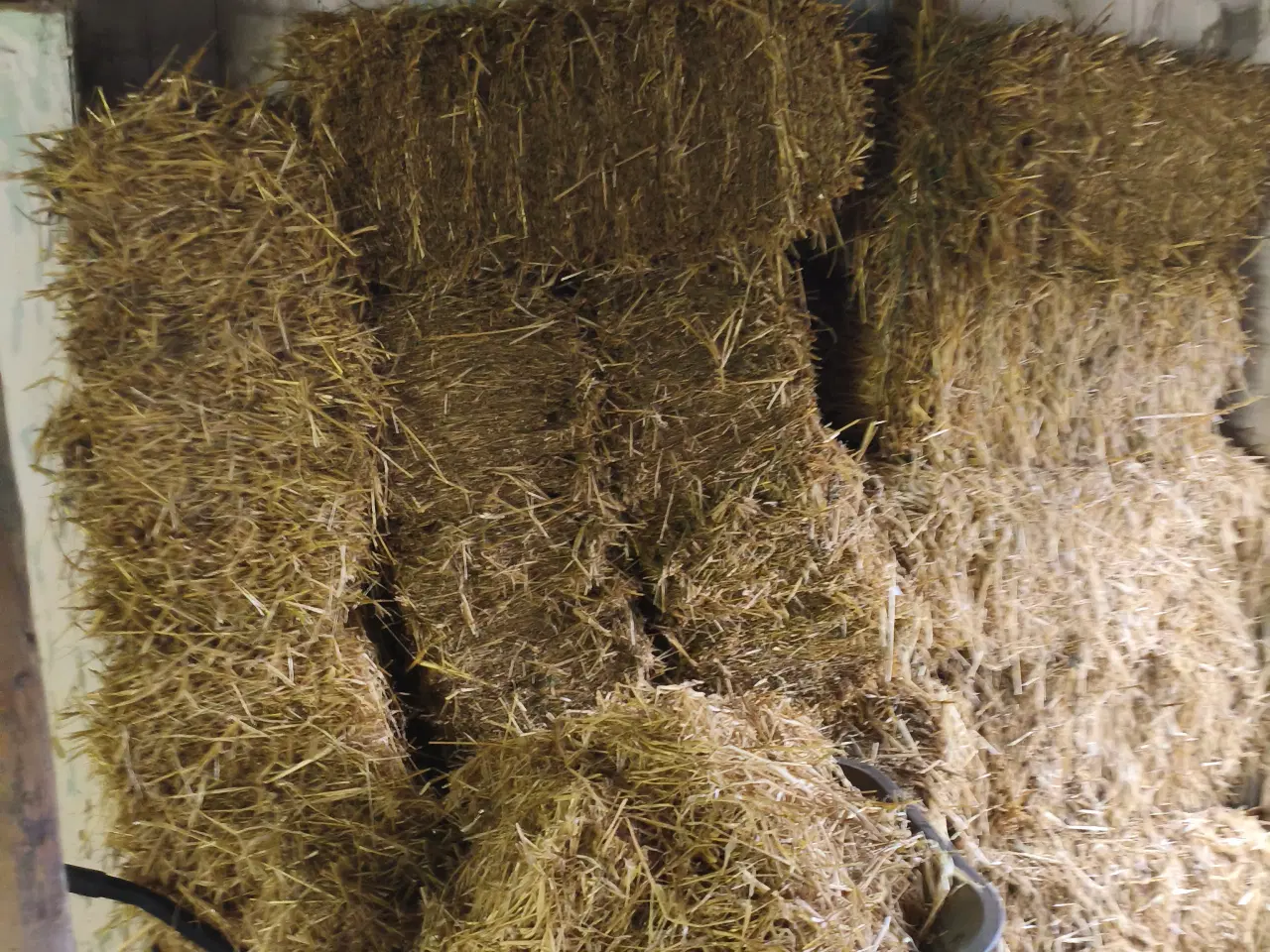 Billede 6 - Moskusænder med alt tilbehør 