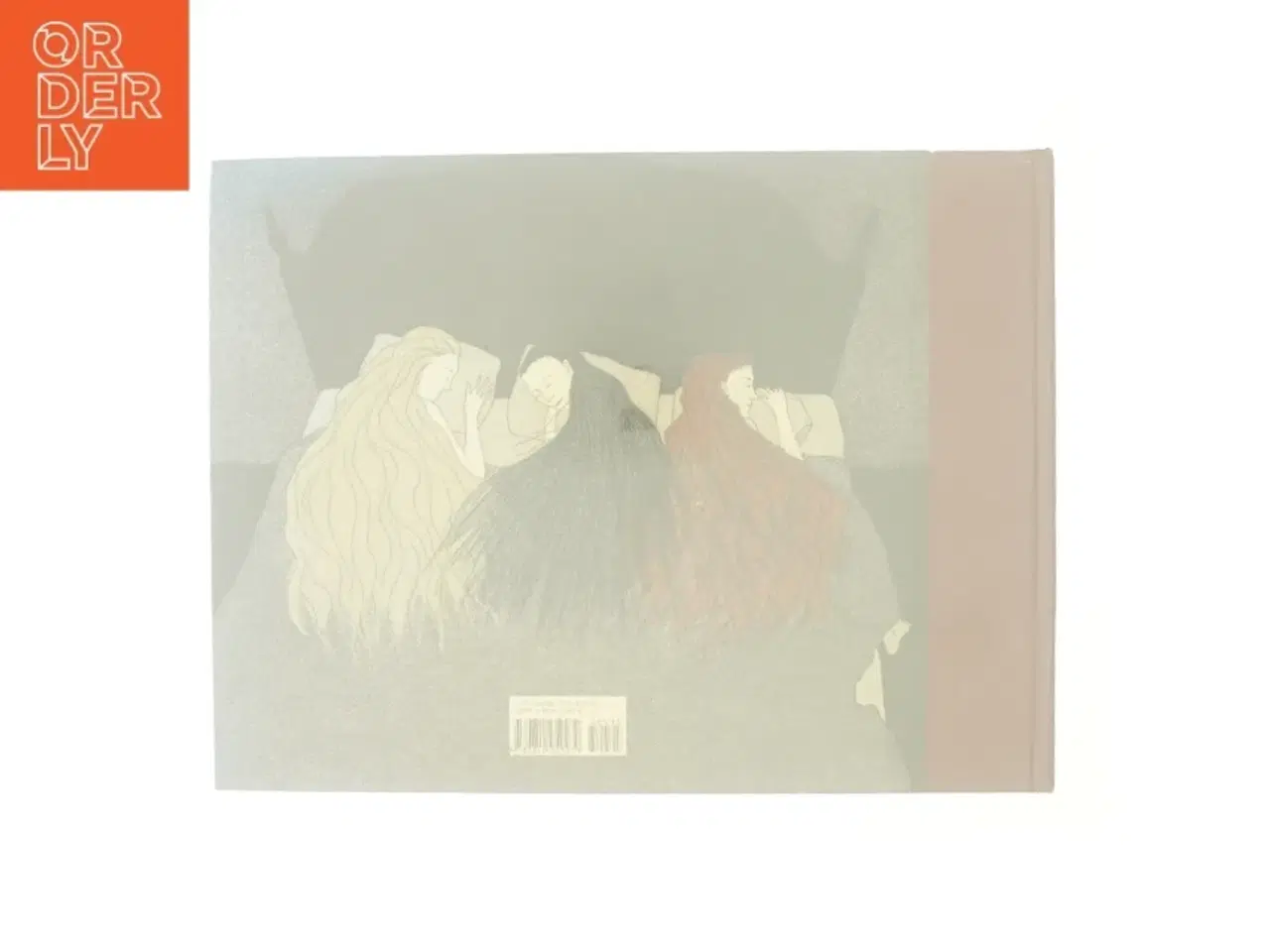 Billede 3 - The three incestuous sisters af Audrey Niffenegger (Bog)