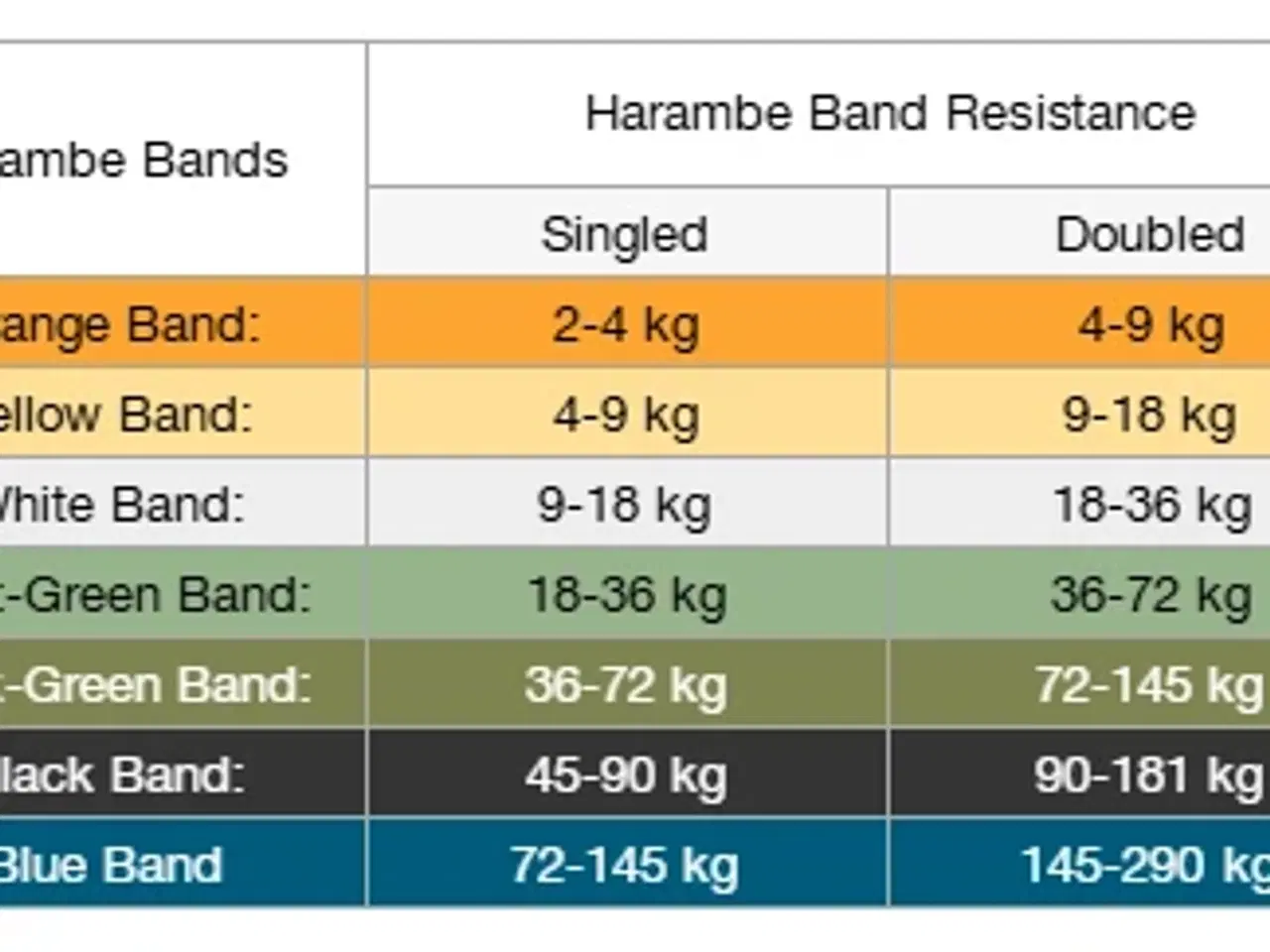 Billede 10 - Harambe System - Fuldt homegym - Bands training