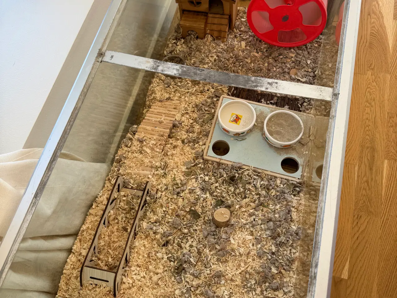 Billede 7 - Dværghamster plus tilbehør sælges