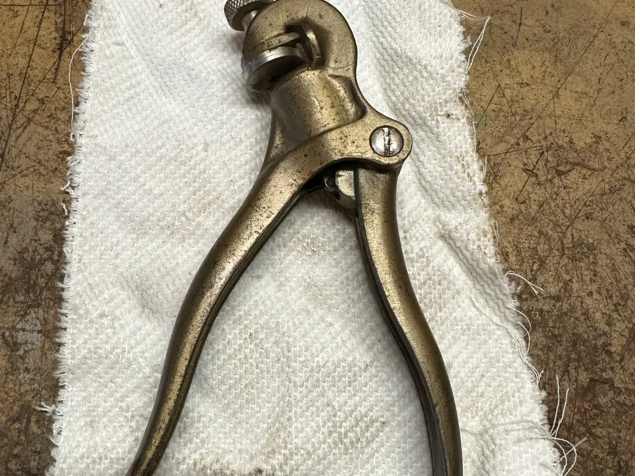 Billede 1 - Udlæggertang, Eclipse No 77