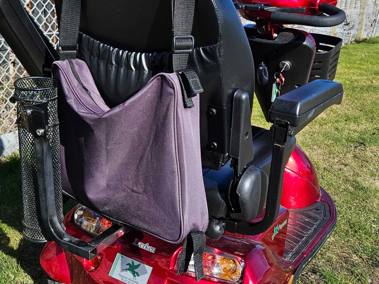 Billede 3 - Pegasus lærken 3