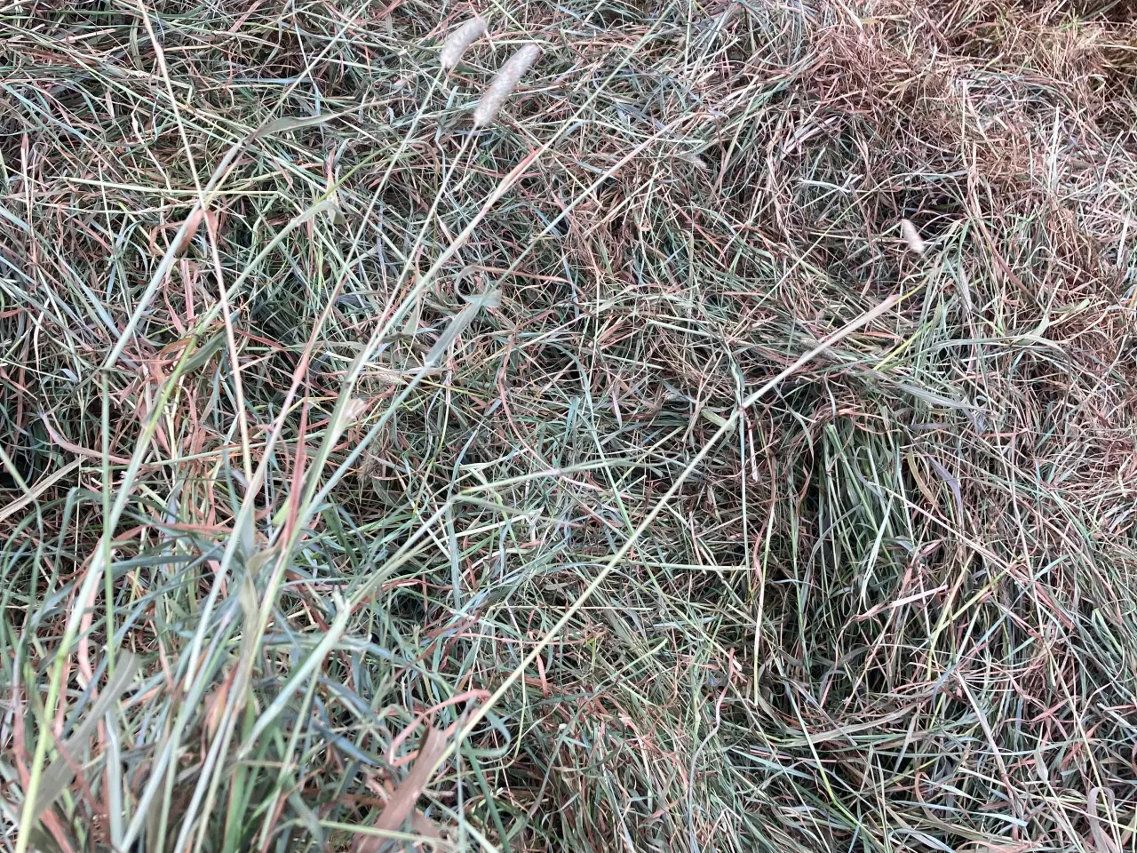 Billede 3 - Wraphø 2 slæt rundballer 