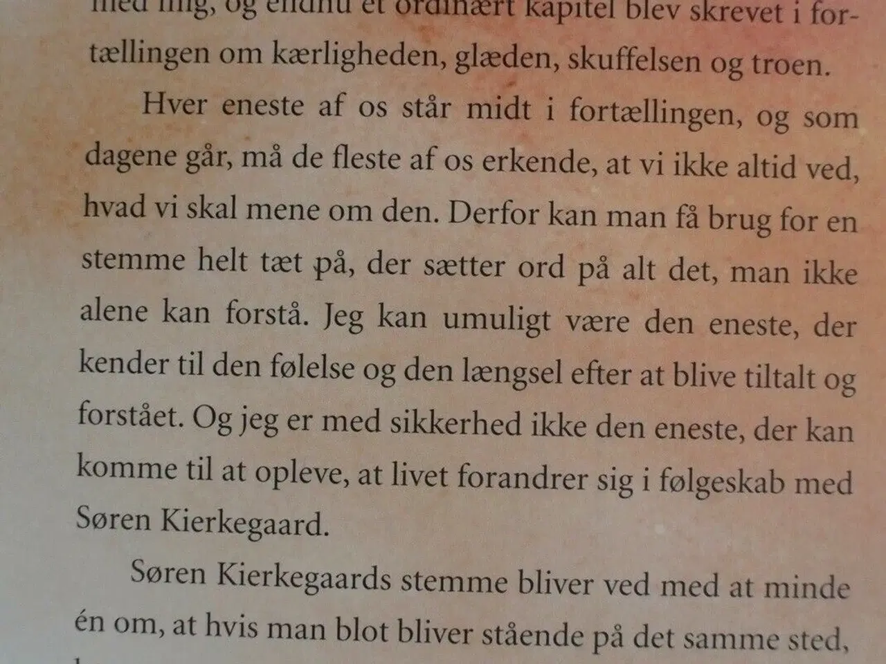 Billede 3 - at leve med kierkegaard, af sørine gotfredsen, emn