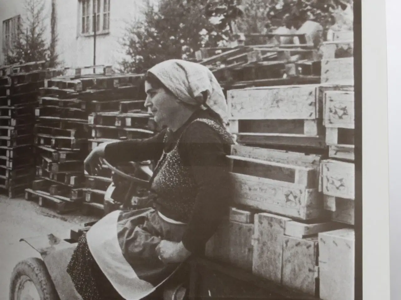 Billede 7 - DANSKE TRUCKERE, Lars Aronsen.