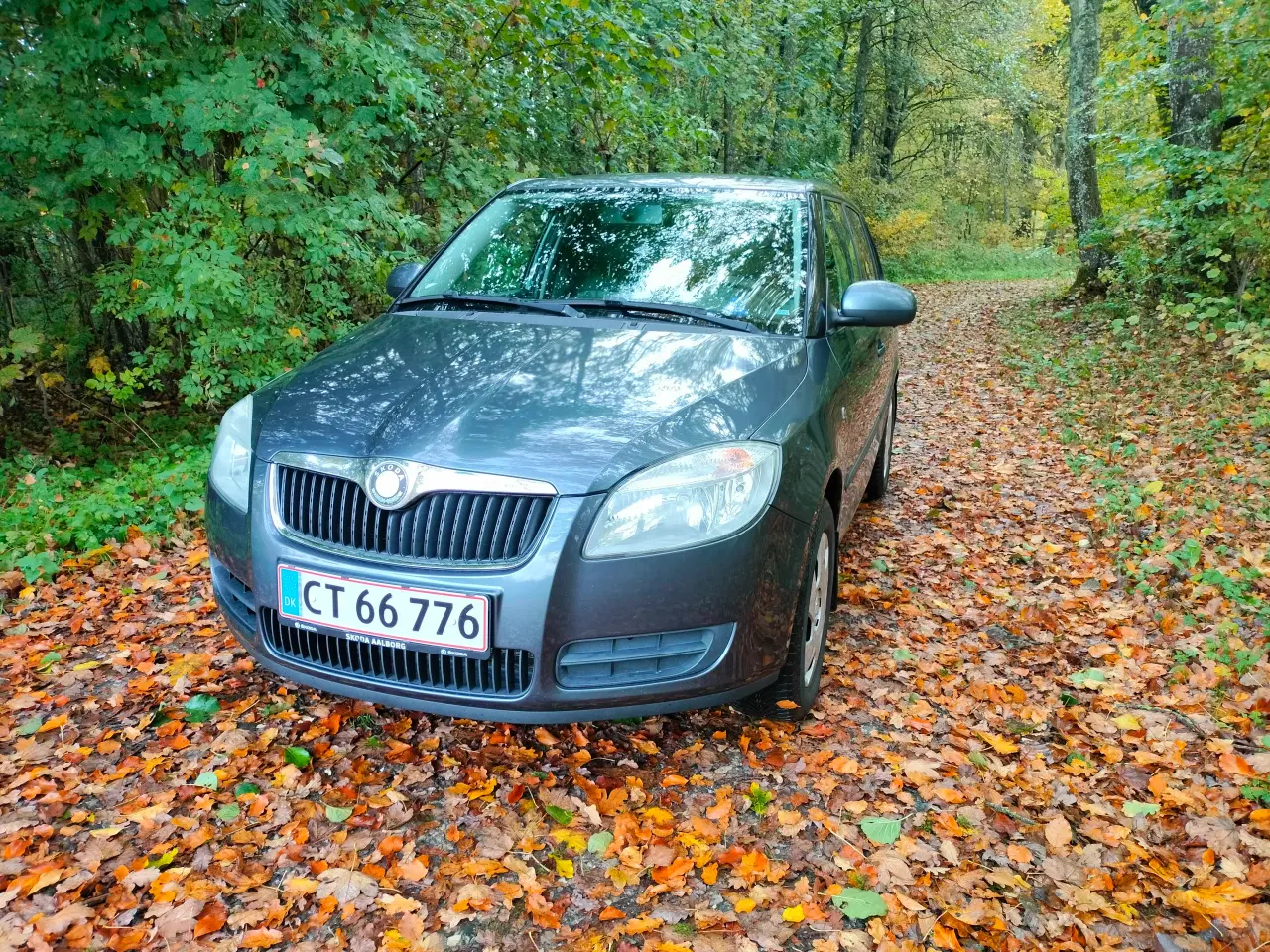 Billede 1 - Billig bil Skoda Fabia 1.4 benziner