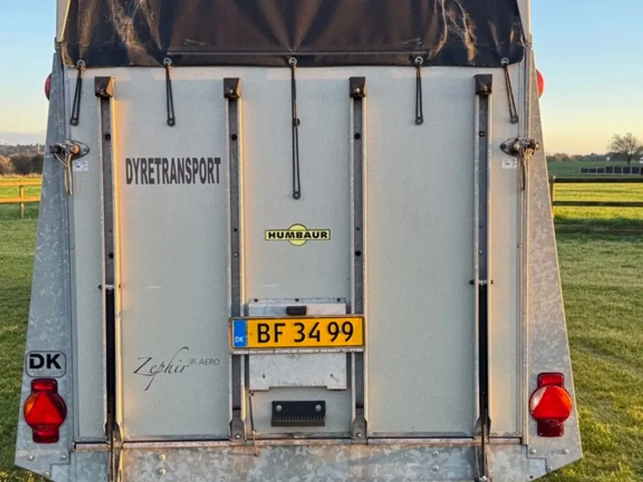 Billede 4 - Humbaur Zephir  Hestetrailer