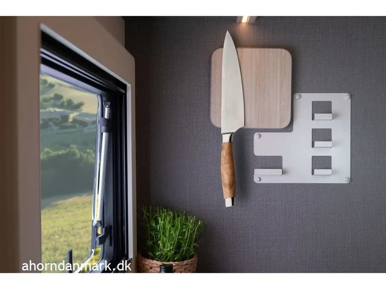 Billede 10 - 2025 - Ahorn Canada AE   Canada AE 2024