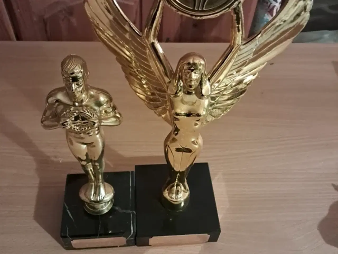 Billede 8 - Trofæer