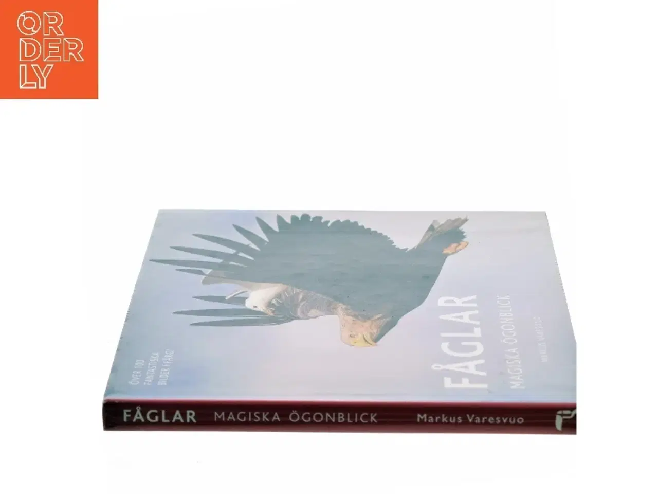 Billede 2 - Fåglar af Markus Varesvuo (Bog)