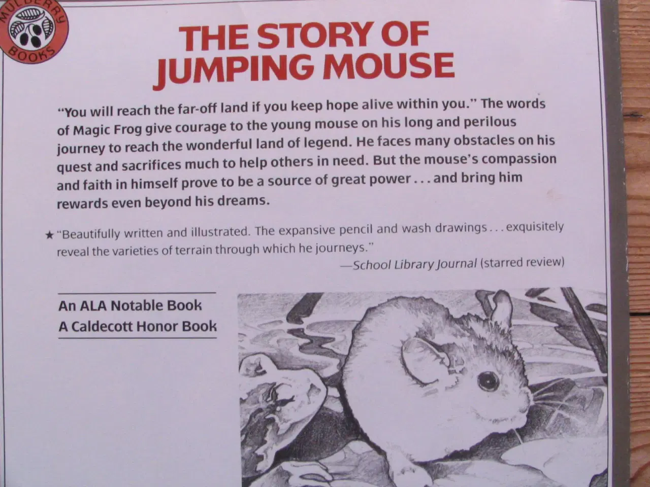Billede 8 - The story of Jumping Mouse