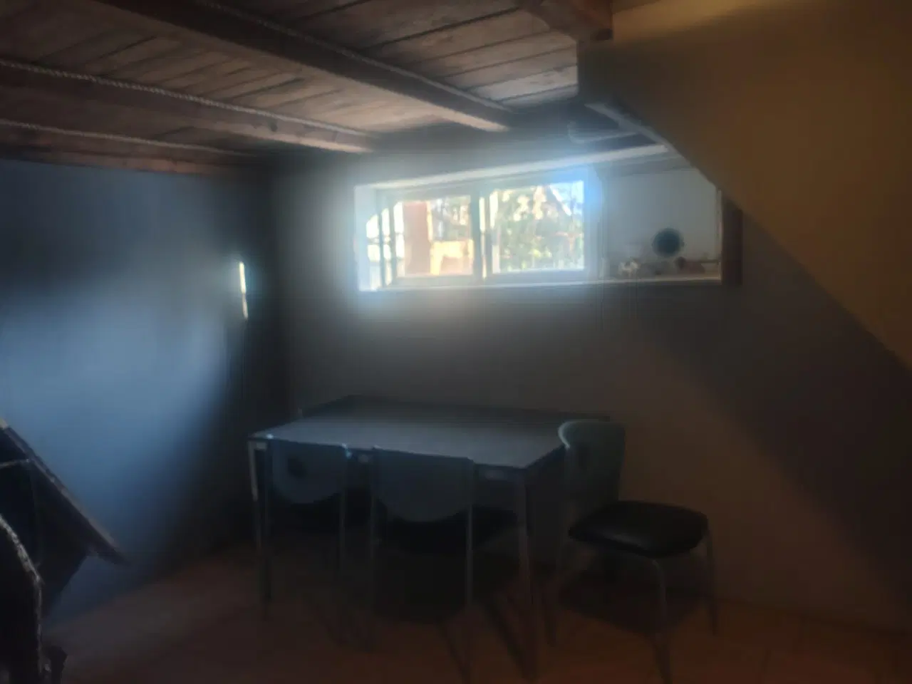 Billede 8 - Dexter tilbyder Parring