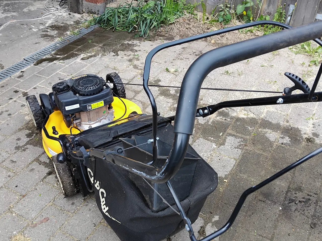 Billede 3 - Cub Cadet græsslåmaskine