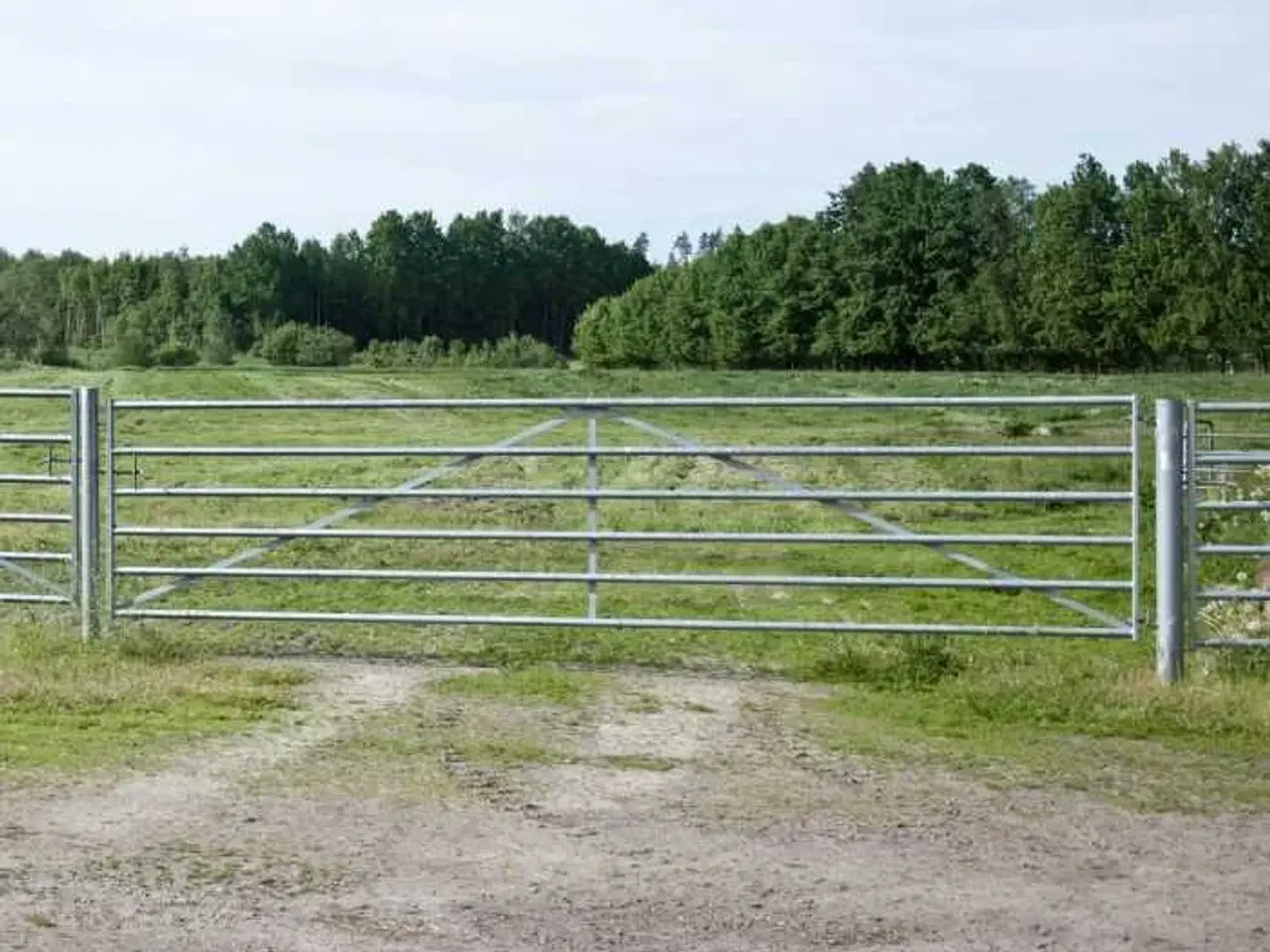 Billede 6 - Foderhæk og Flytbar hegn