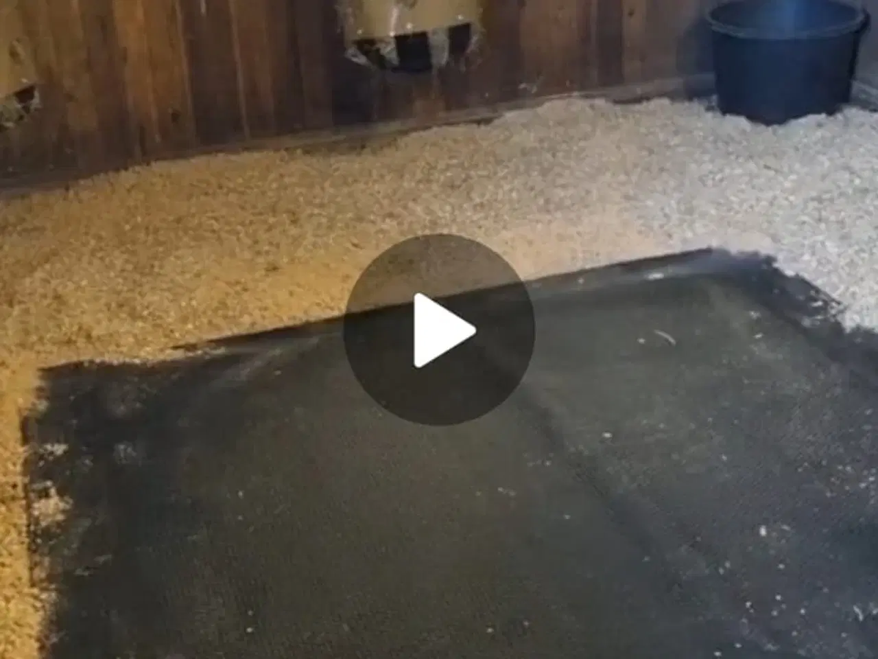 Billede 2 - Sælger HIT hesteseng Comfort 2.0