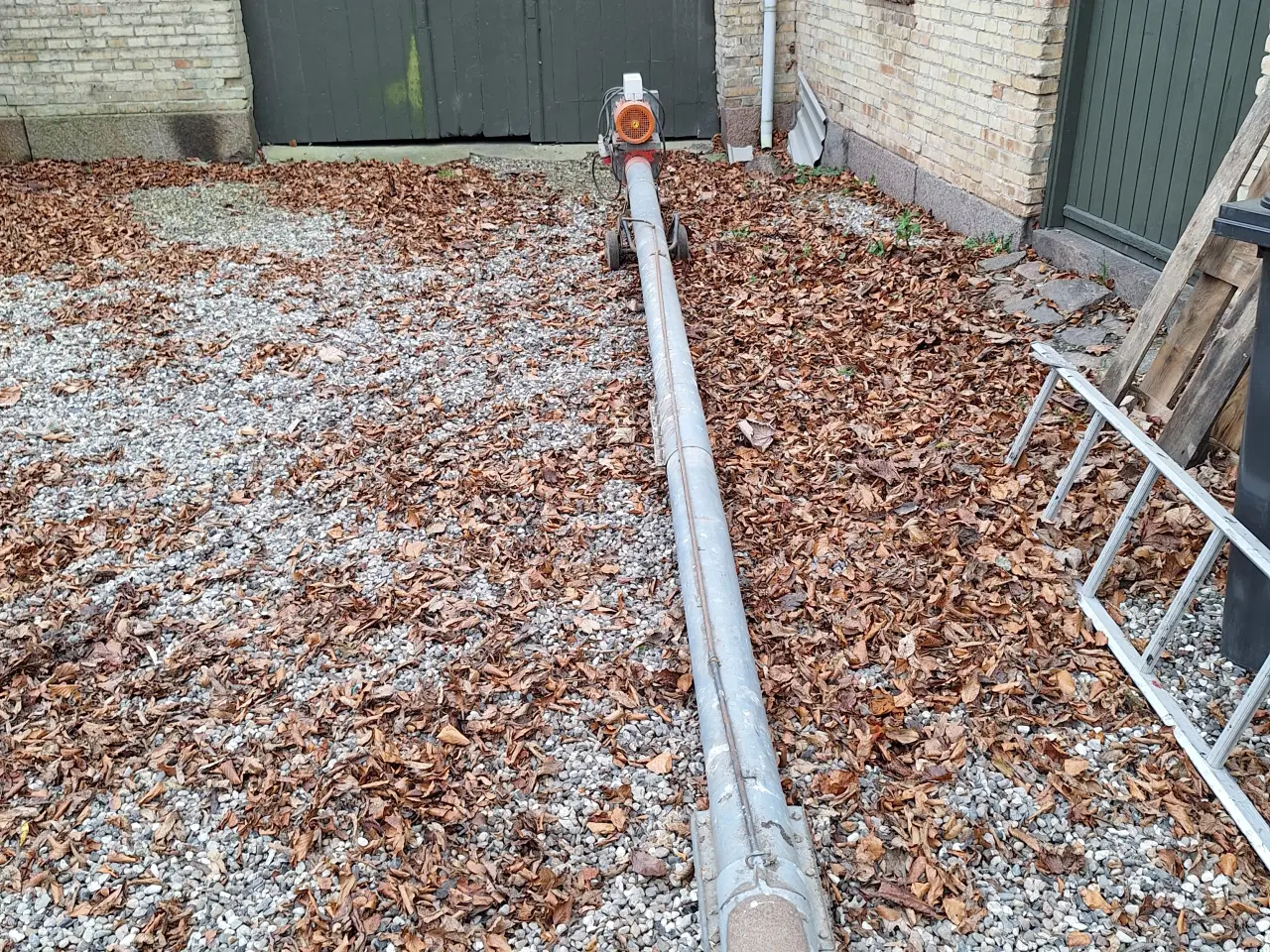 Billede 1 - Stor Kornsnegl "virker"