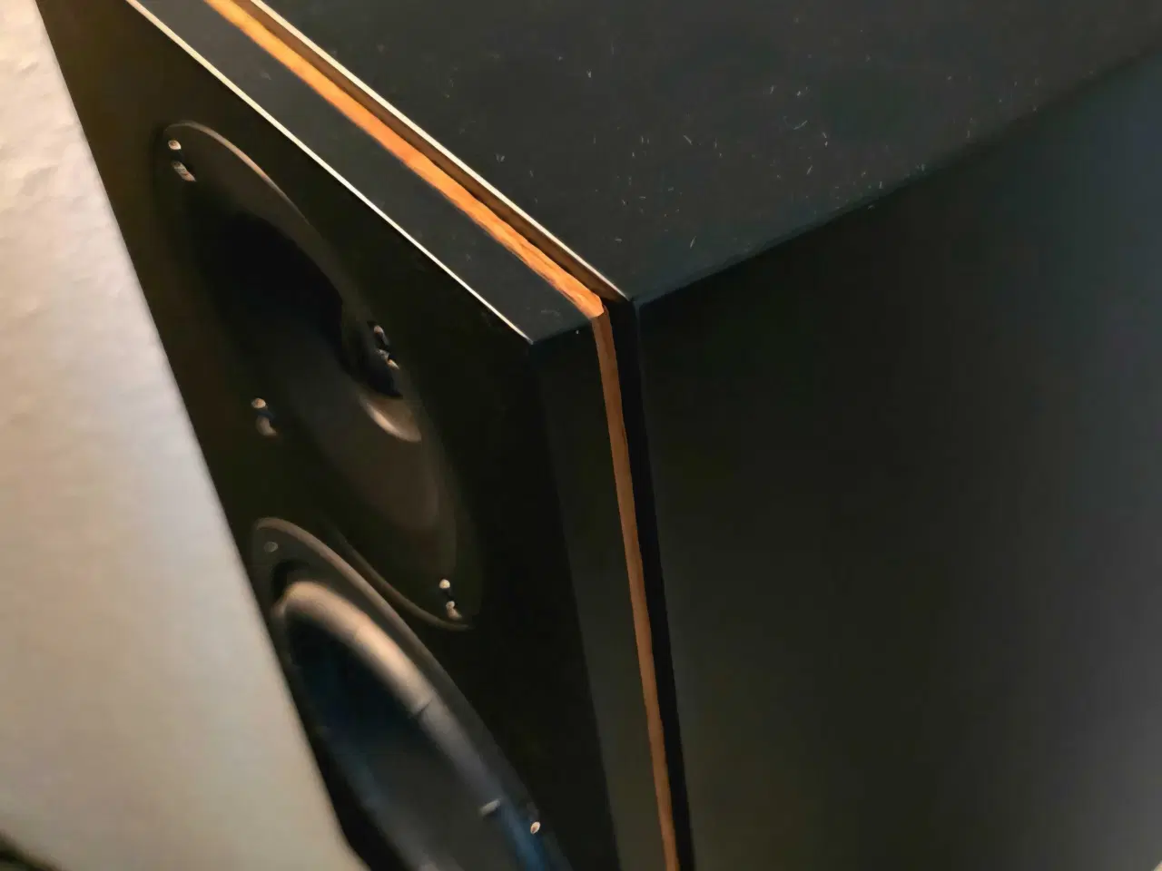 Billede 2 - SA Legend 5 passiv high end