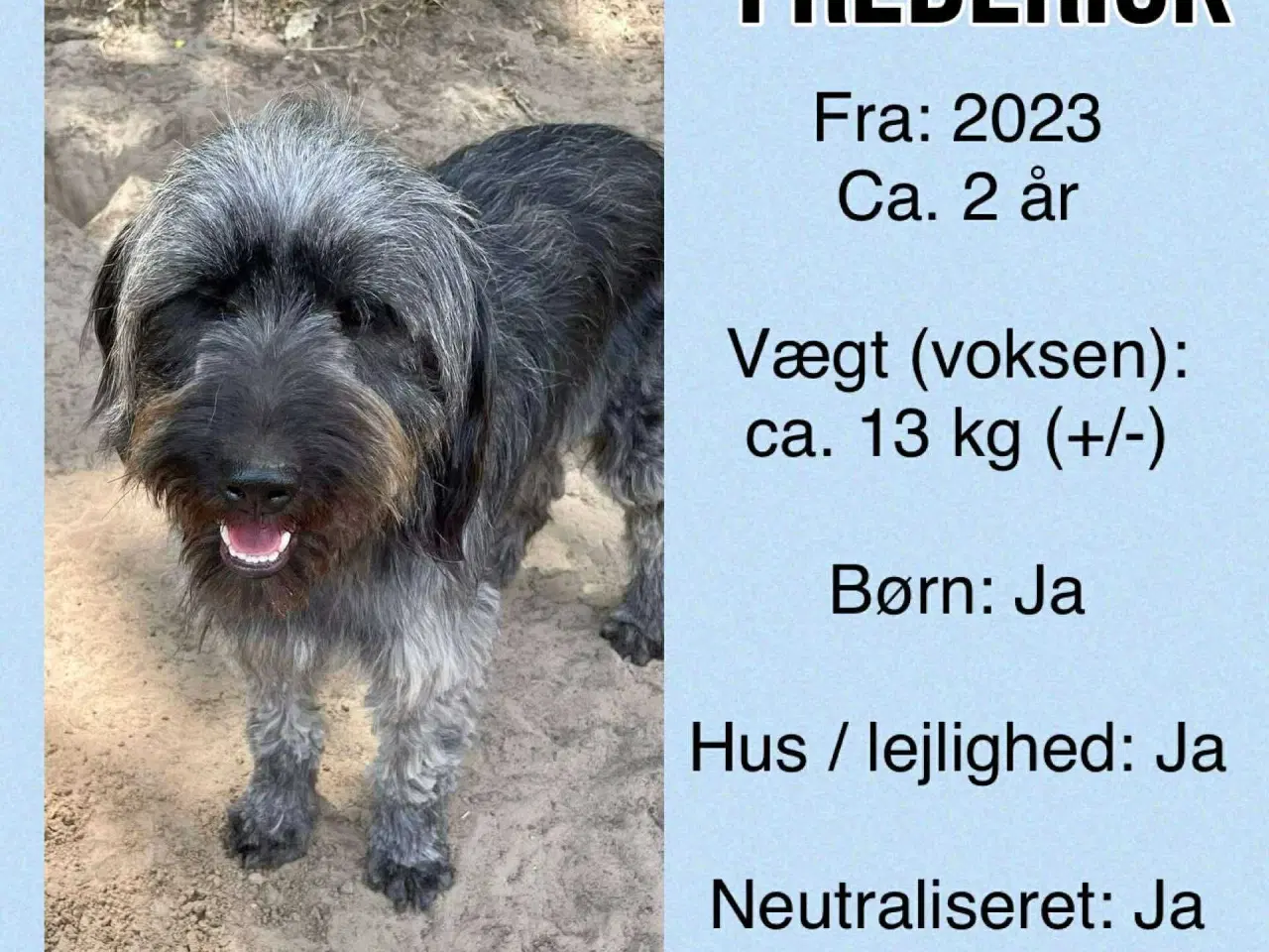Billede 6 - Frederick mangler familie 