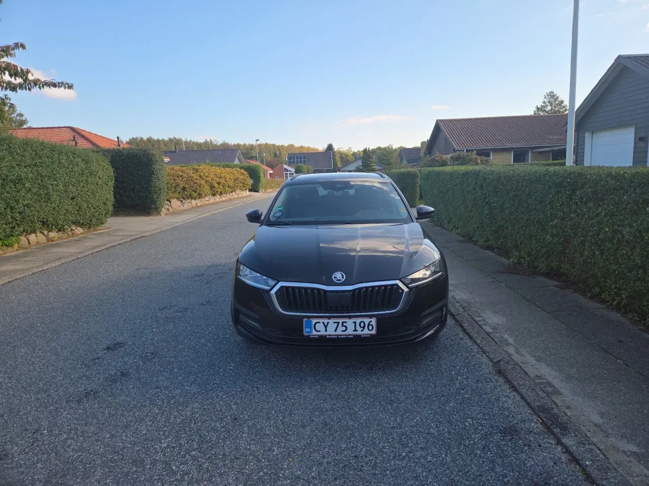 Billede 2 - Skoda Octavia 1,0 TSi 110 Ambition First Edition