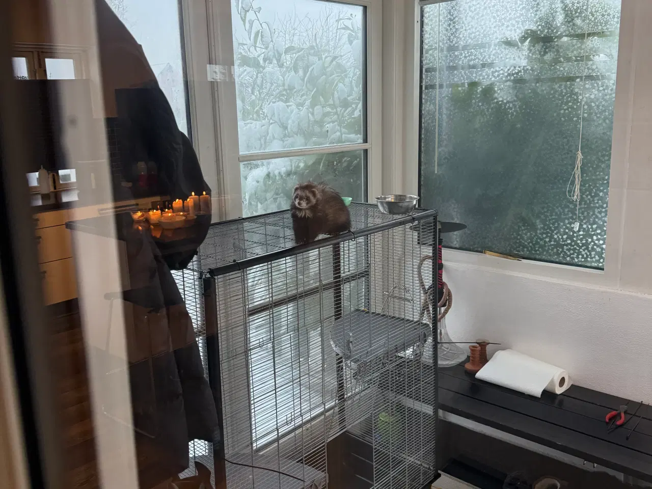 Billede 2 - Ilder gratis