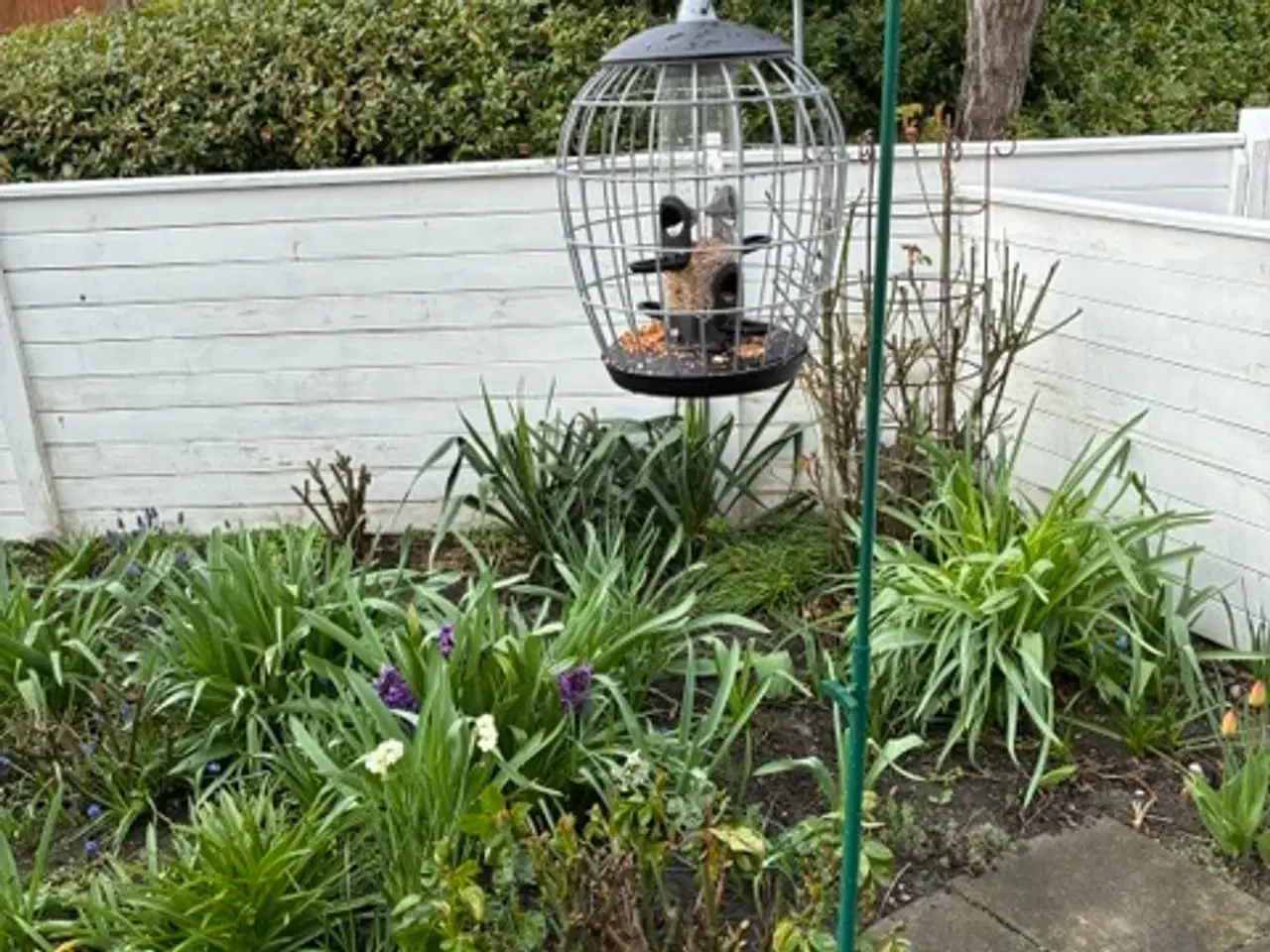 Billede 1 - Fuglehus