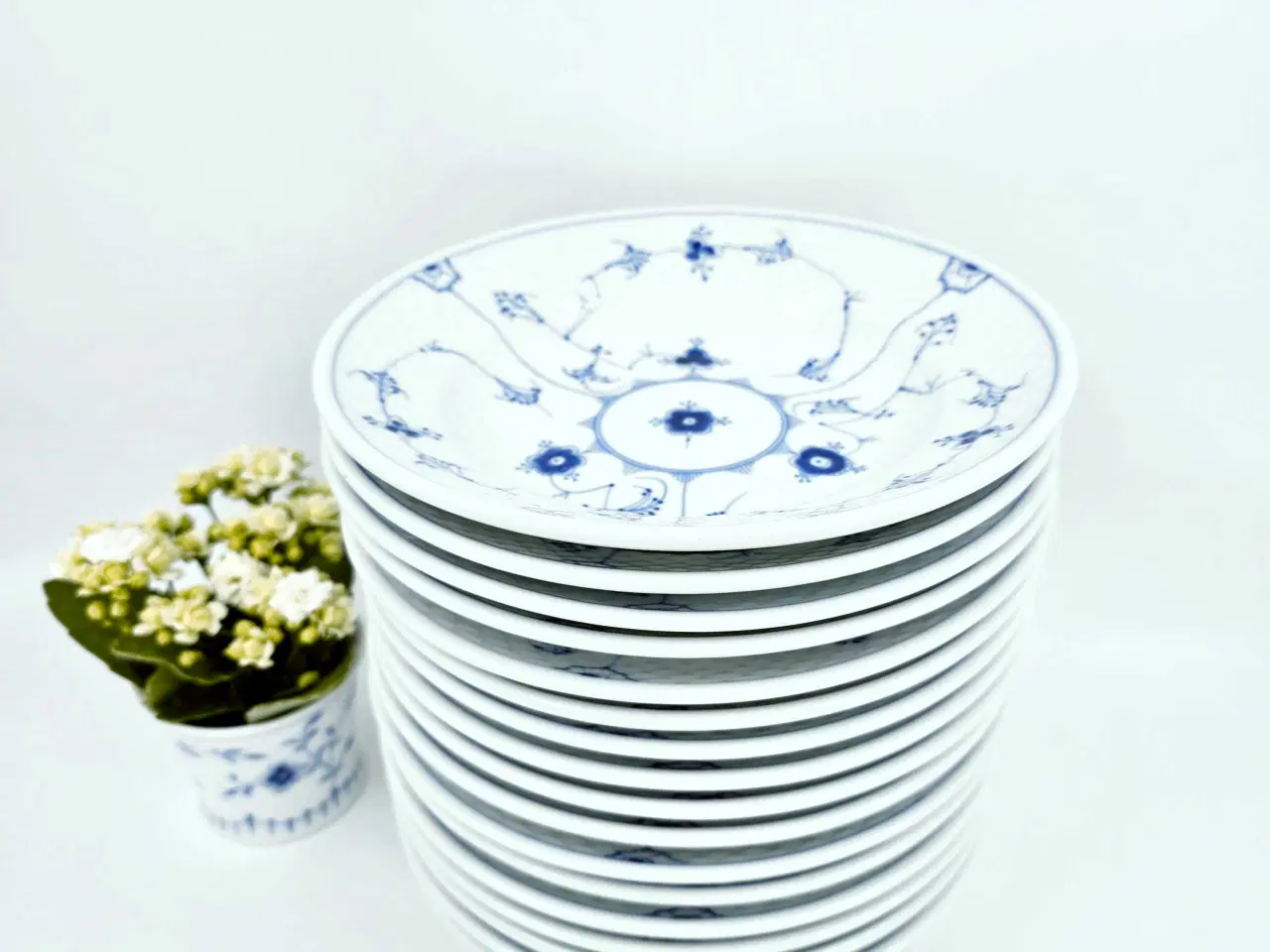 Billede 5 - Musselmalet stor Dyb Hotelporcelæn Tallerken