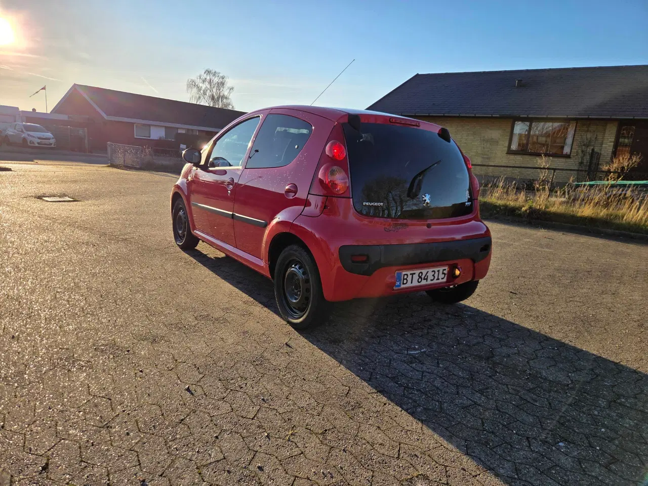 Billede 6 - ØKOGRIS MED PLADER OG NYSYNET 