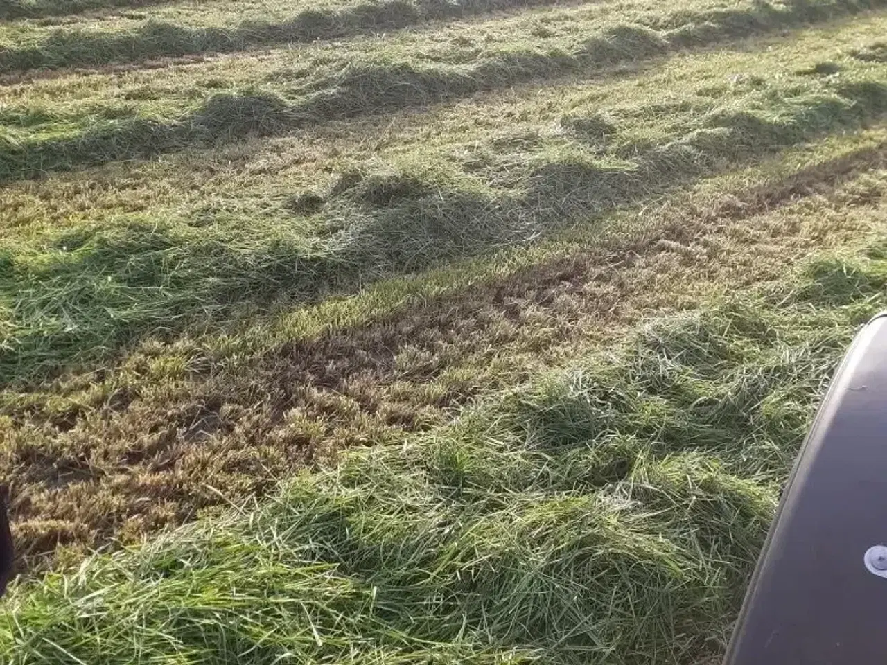 Billede 3 - Lækkert wrap hø 2. slet 2025 m/analyse lavt sukker