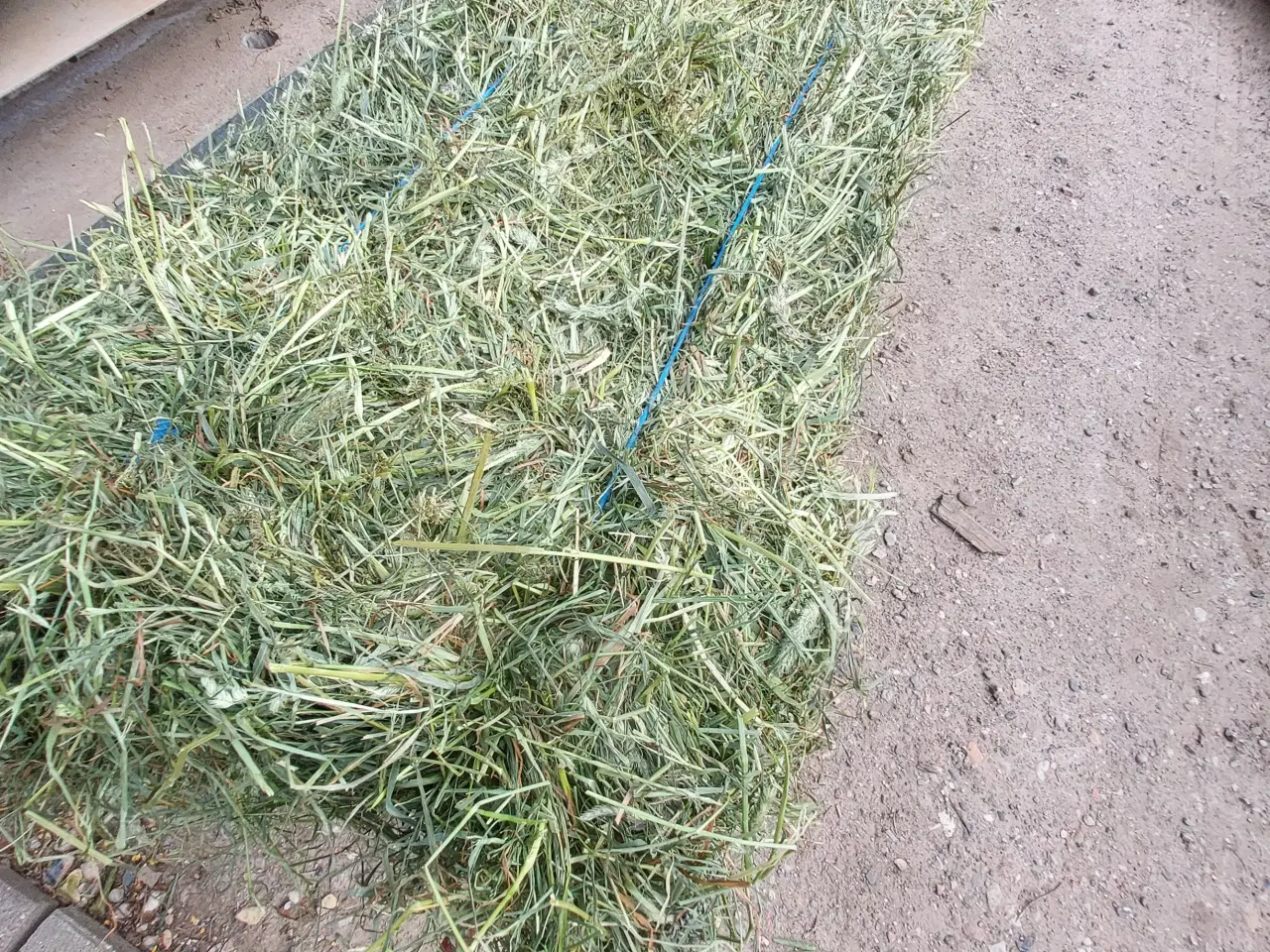 Billede 1 - Wraphø - små firkantede Morten Korch