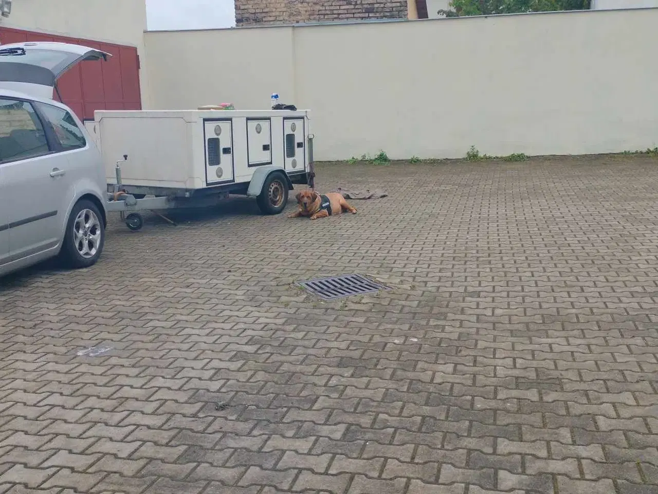 Billede 1 - Hundetrailer   variant F1 